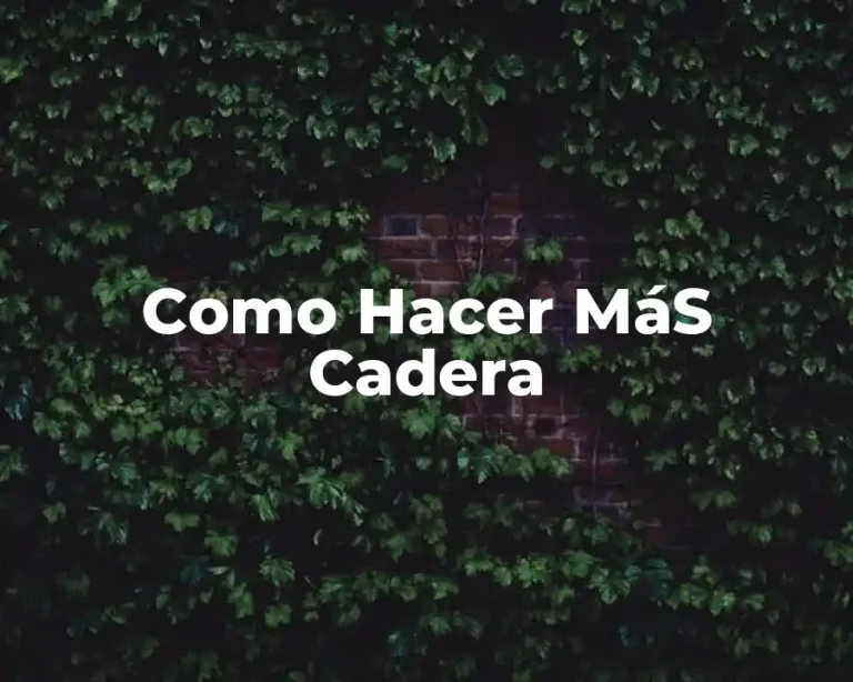 Como Hacer MáS Cadera