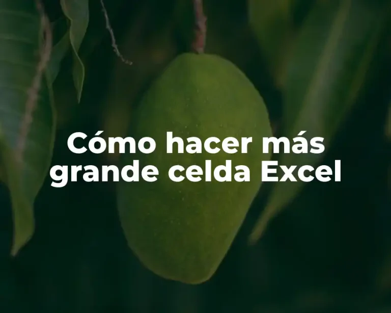 Cómo hacer más grande celda Excel
