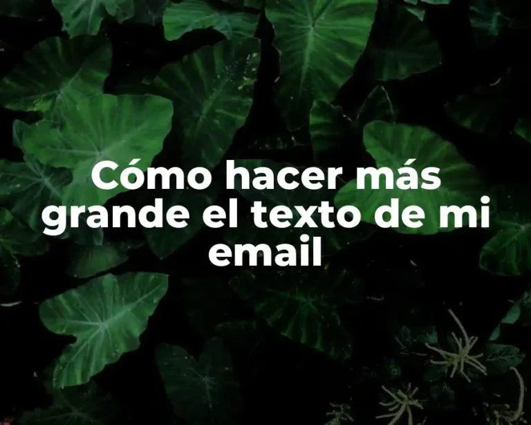 Cómo hacer más grande el texto de mi email