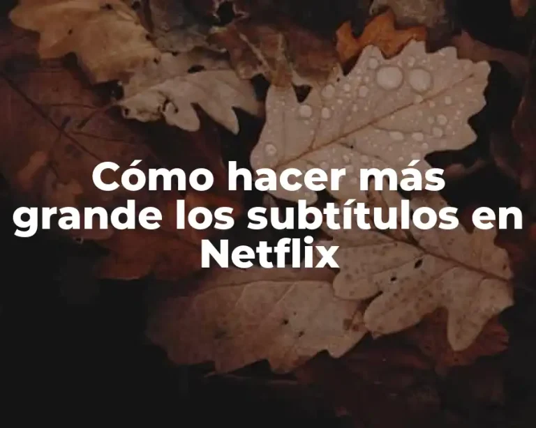 Cómo hacer más grande los subtítulos en Netflix