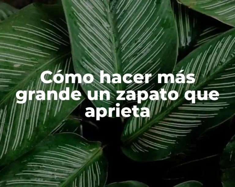 Cómo hacer más grande un zapato que aprieta