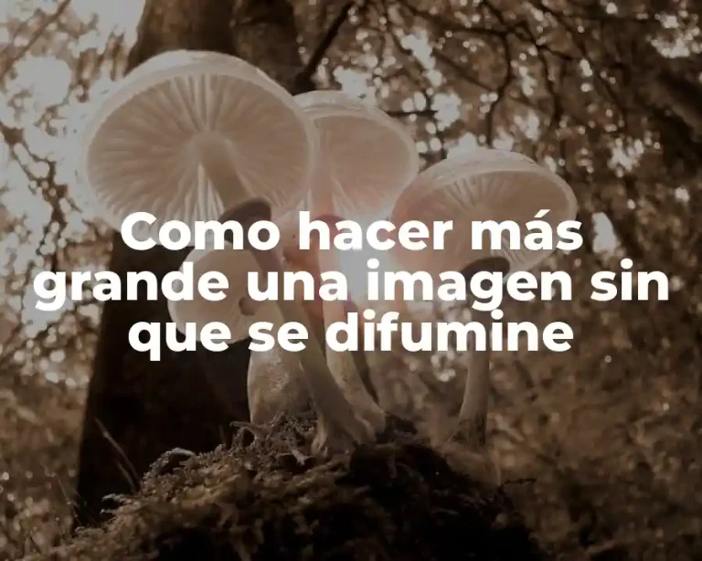 Como hacer más grande una imagen sin que se difumine