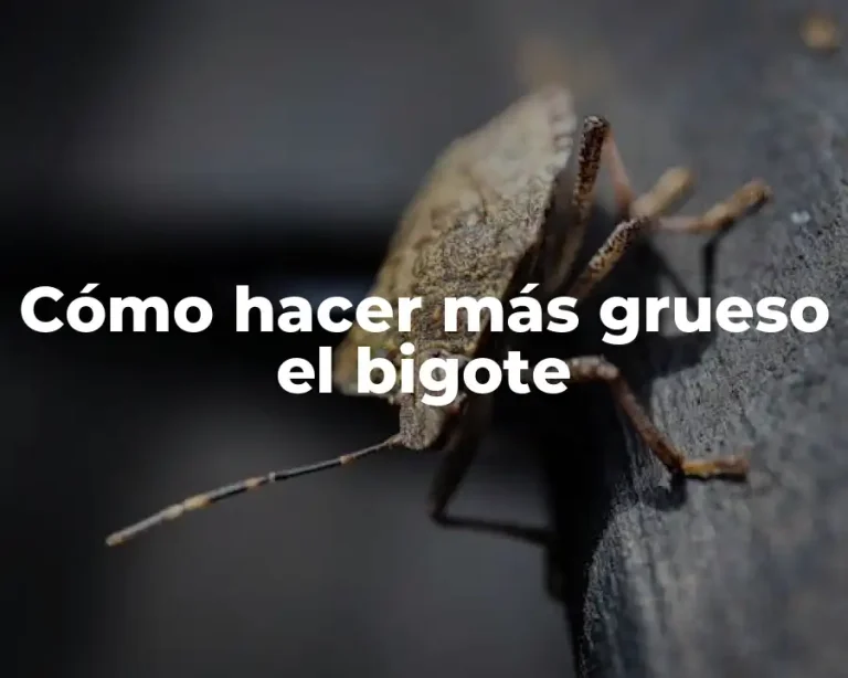 Cómo hacer más grueso el bigote