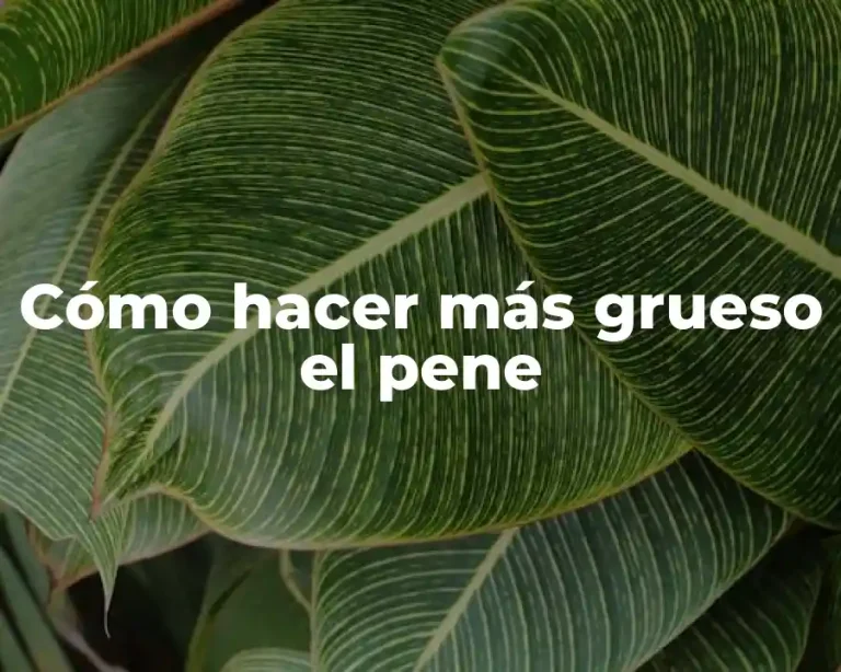 Cómo hacer más grueso el pene