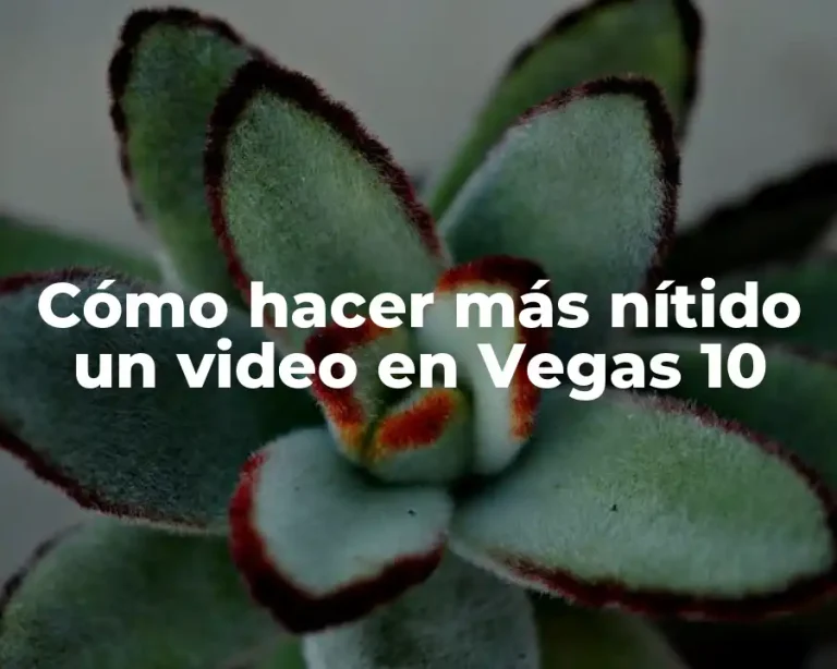 Cómo hacer más nítido un video en Vegas 10