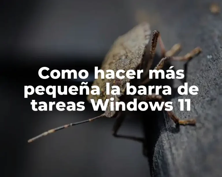 Como hacer más pequeña la barra de tareas Windows 11