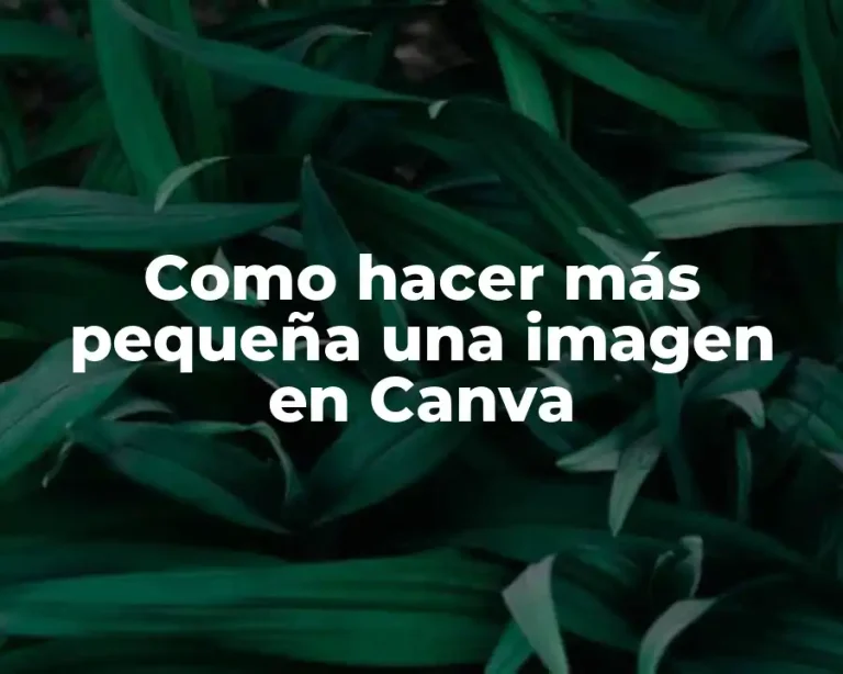 Como hacer más pequeña una imagen en Canva