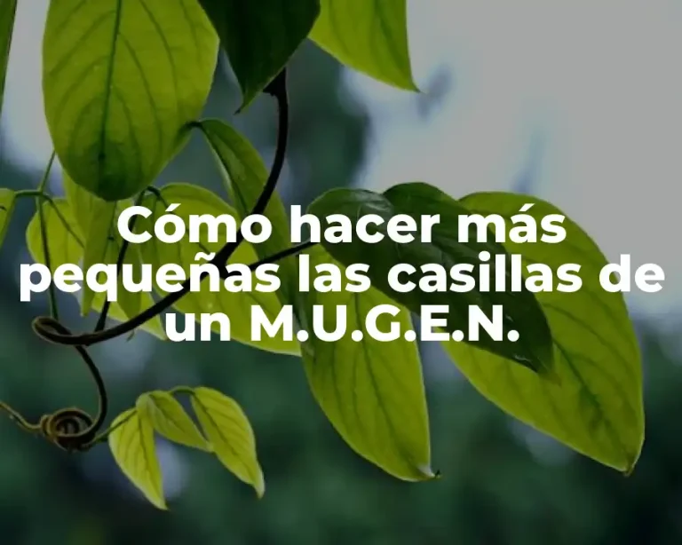 Cómo hacer más pequeñas las casillas de un M.U.G.E.N.