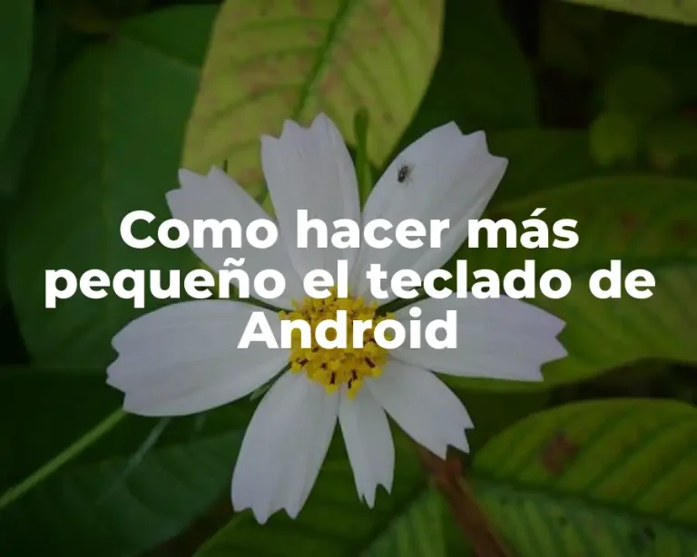Como hacer más pequeño el teclado de Android