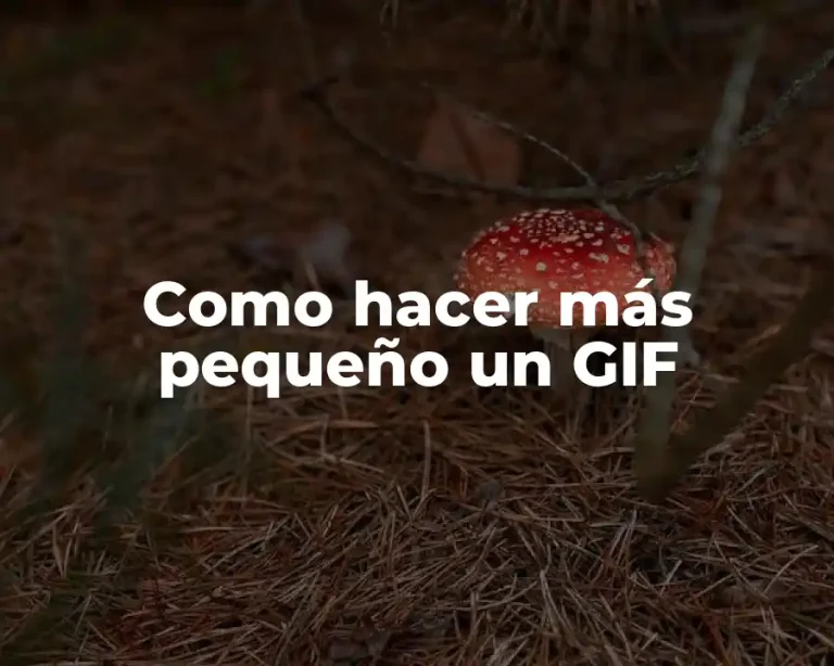 Como hacer más pequeño un GIF