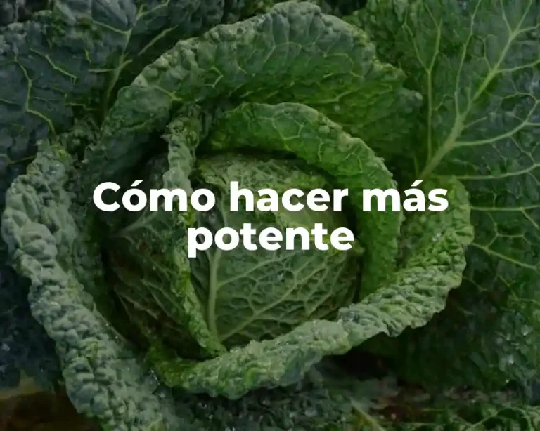 Cómo hacer más potente