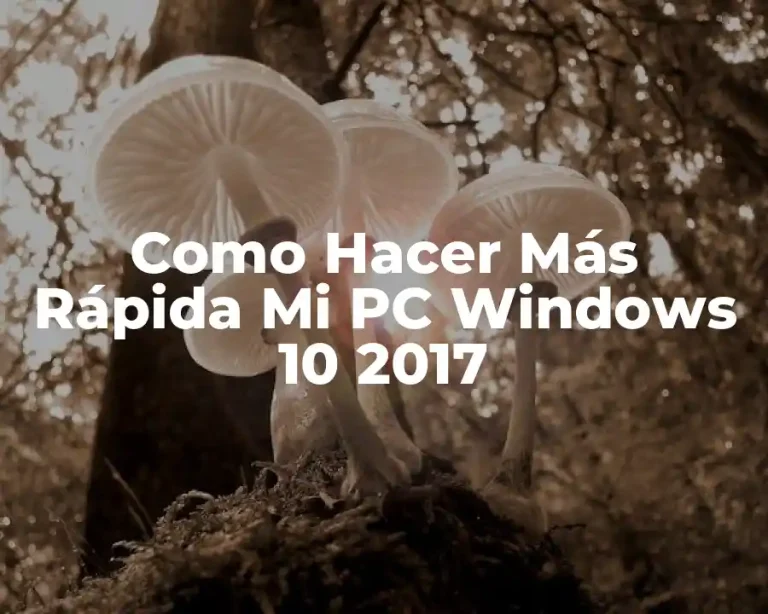 Como Hacer Más Rápida Mi PC Windows 10 2017