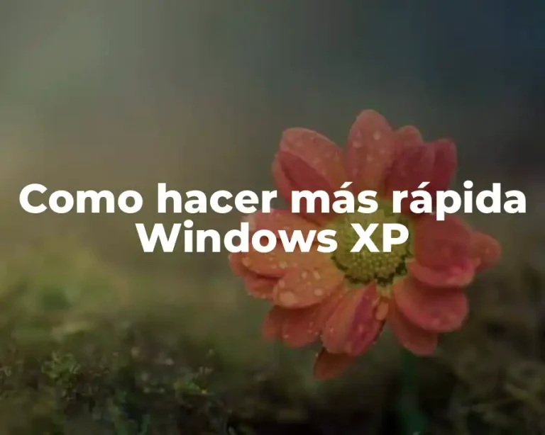 Como hacer más rápida Windows XP