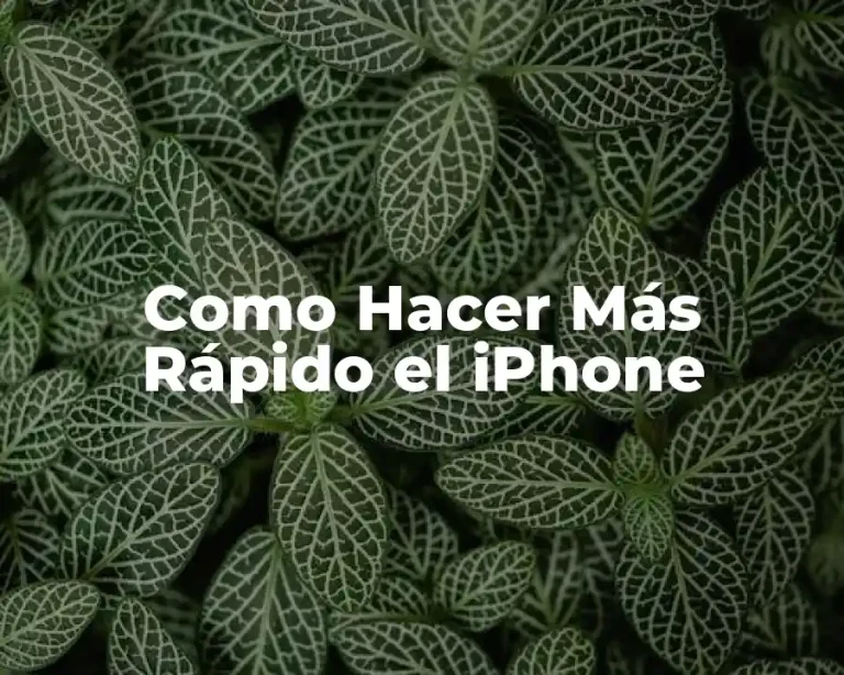 Como Hacer Más Rápido el iPhone