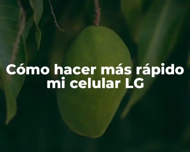 Cómo hacer más rápido mi celular LG