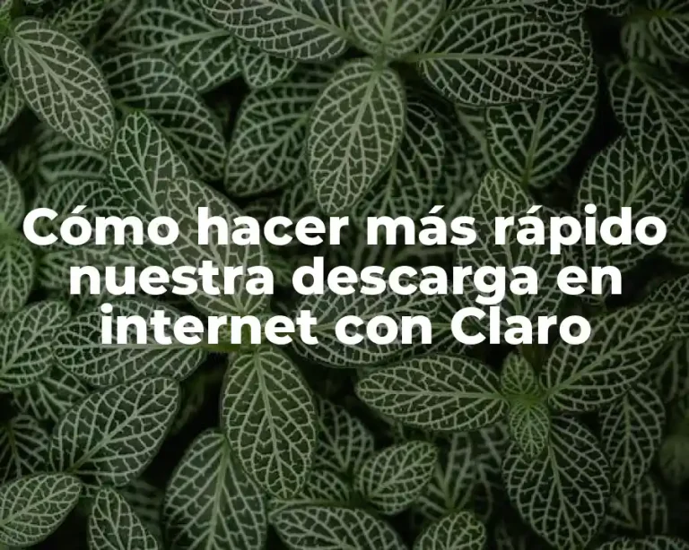 Cómo hacer más rápido nuestra descarga en internet con Claro