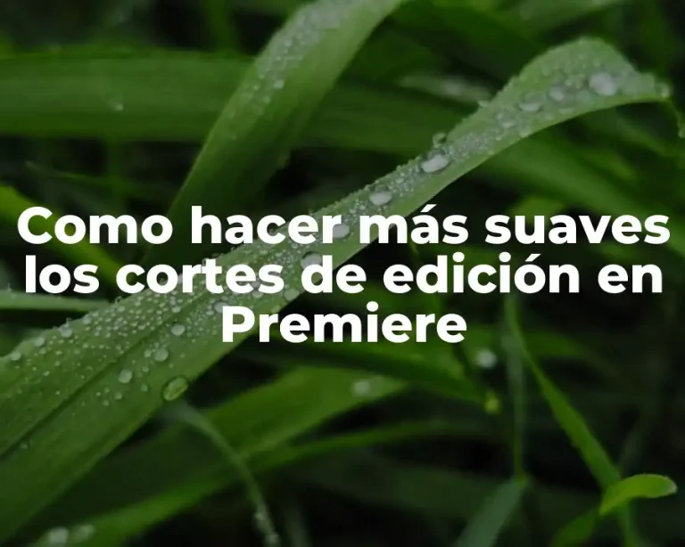 Como hacer más suaves los cortes de edición en Premiere