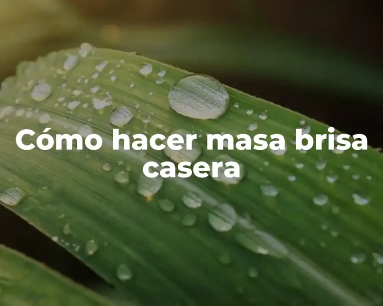 Cómo hacer masa brisa casera