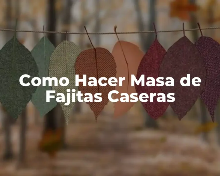 Como Hacer Masa de Fajitas Caseras