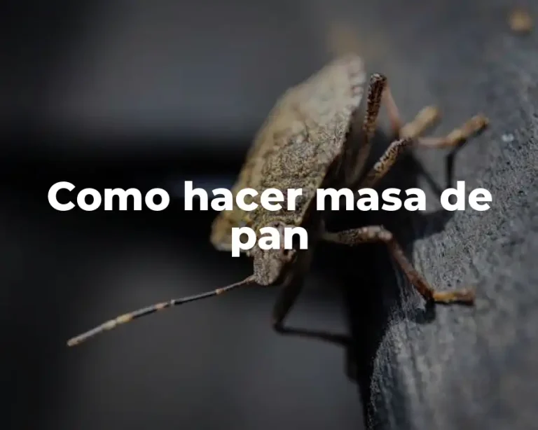 Como hacer masa de pan