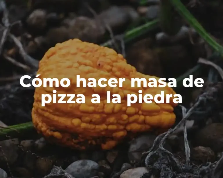 Cómo hacer masa de pizza a la piedra