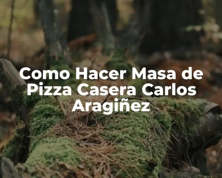 Como Hacer Masa de Pizza Casera Carlos Aragiñez