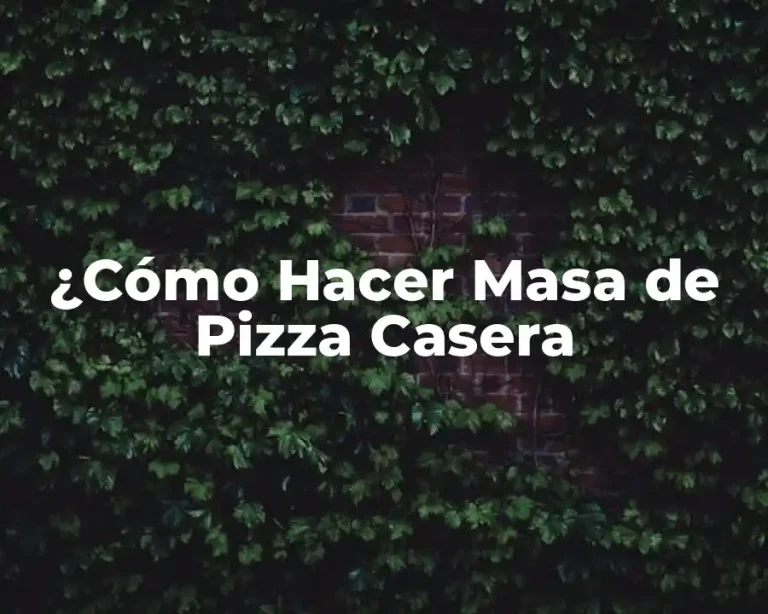 ¿Cómo Hacer Masa de Pizza Casera
