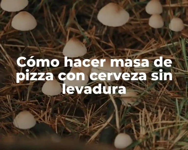 Cómo hacer masa de pizza con cerveza sin levadura