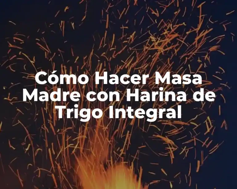 Cómo Hacer Masa Madre con Harina de Trigo Integral