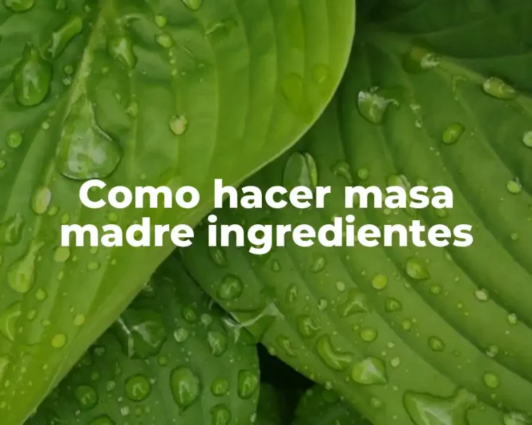 Como hacer masa madre ingredientes