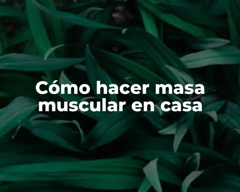 Cómo hacer masa muscular en casa