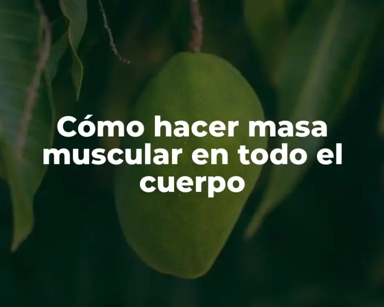 Cómo hacer masa muscular en todo el cuerpo