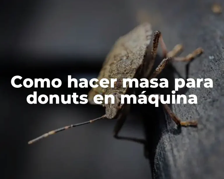 Como hacer masa para donuts en máquina