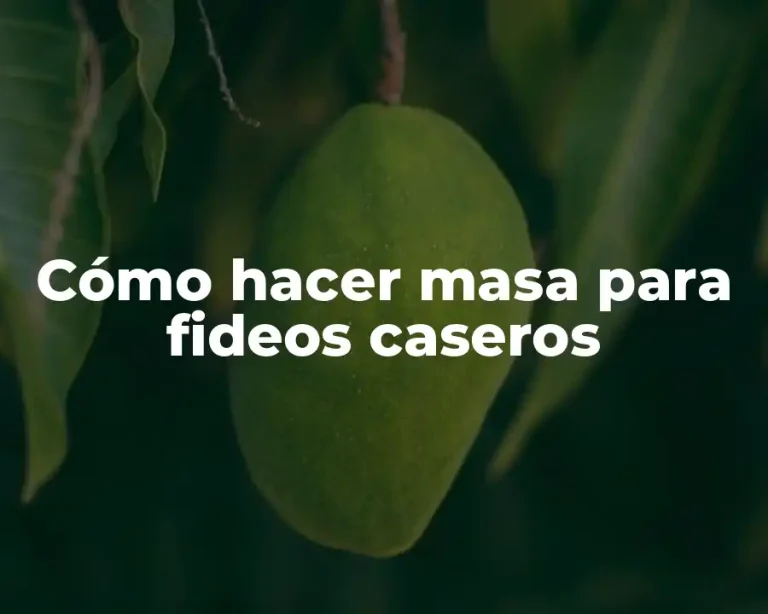 Cómo hacer masa para fideos caseros