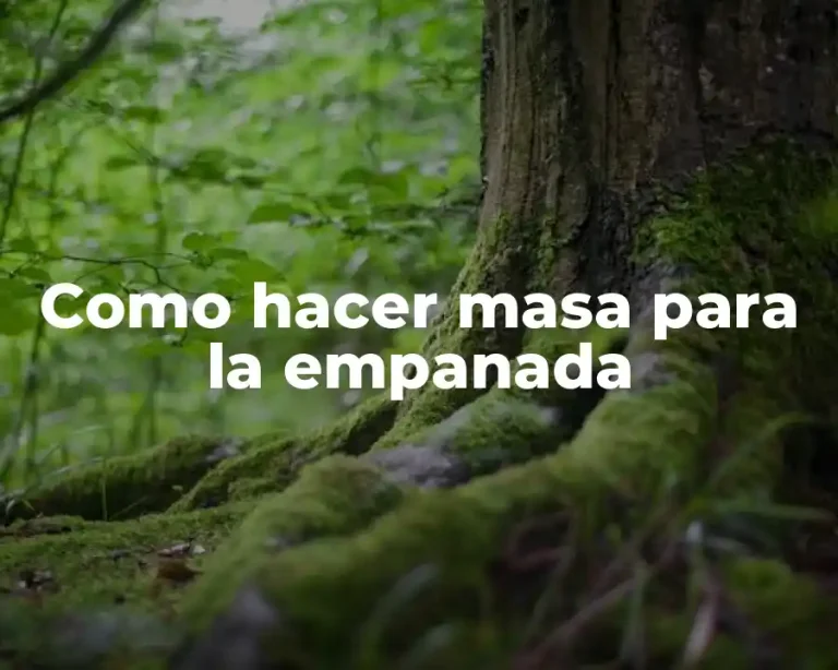 Como hacer masa para la empanada