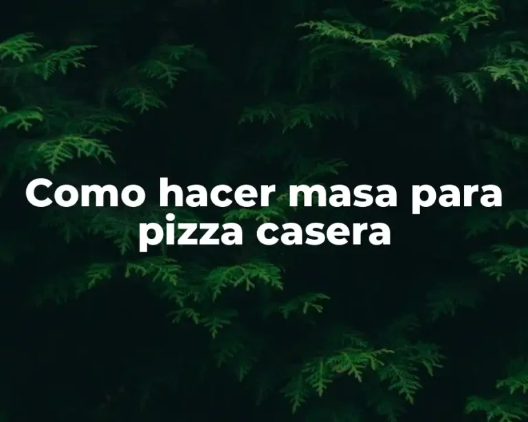 Como hacer masa para pizza casera