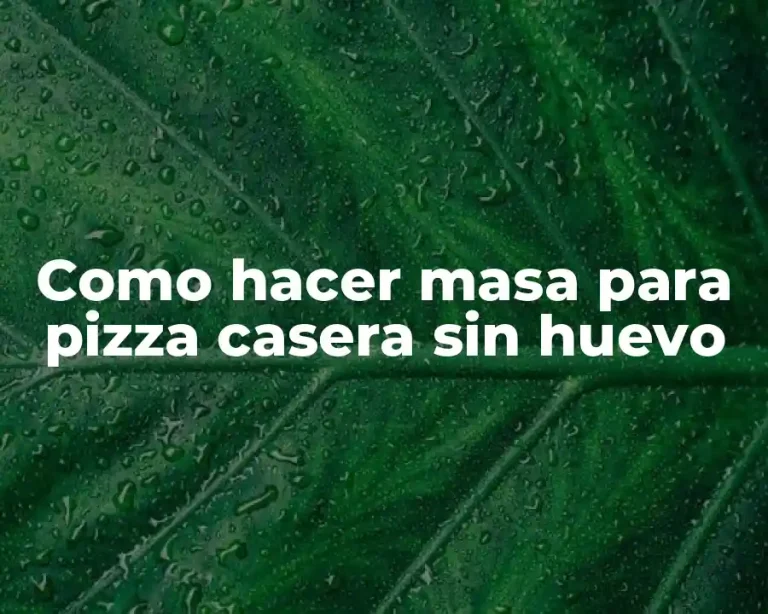 Como hacer masa para pizza casera sin huevo