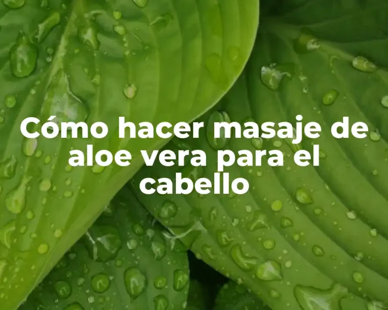Cómo hacer masaje de aloe vera para el cabello