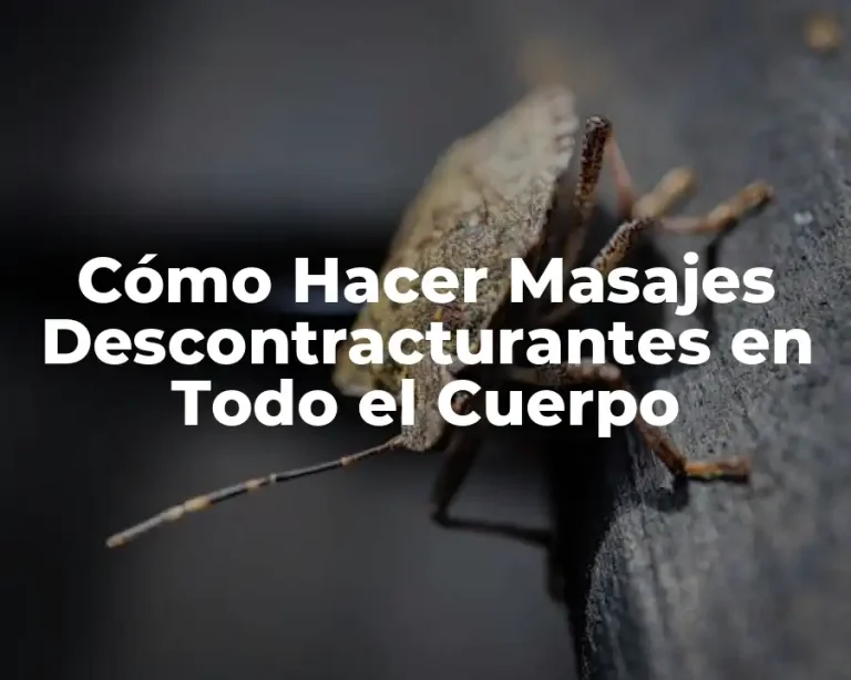 Cómo Hacer Masajes Descontracturantes en Todo el Cuerpo