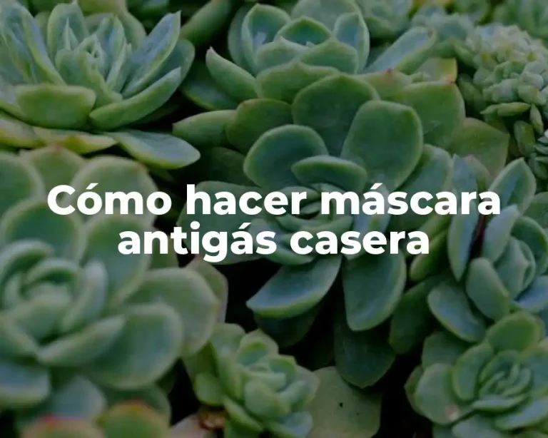 Cómo hacer máscara antigás casera