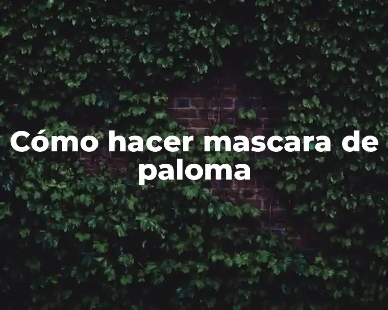 Cómo hacer mascara de paloma