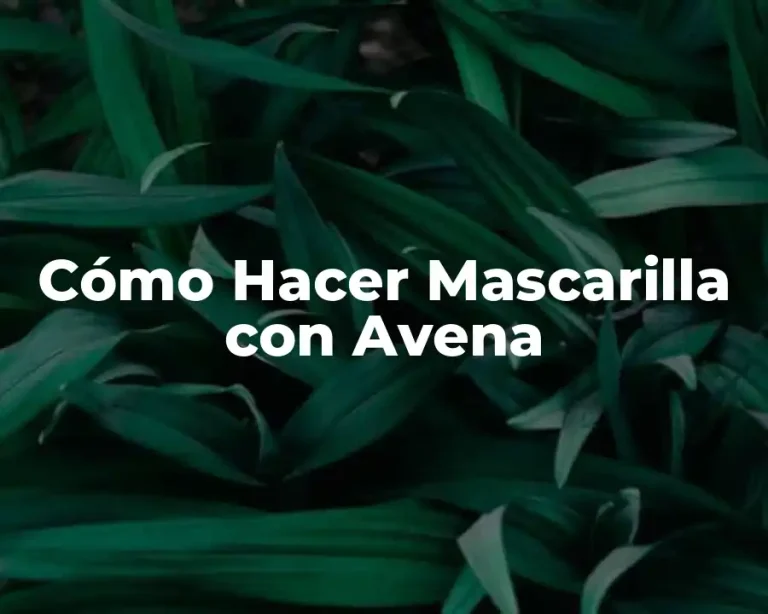Cómo Hacer Mascarilla con Avena