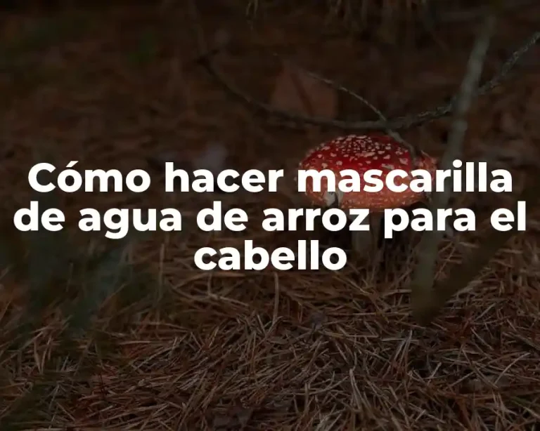 Cómo hacer mascarilla de agua de arroz para el cabello