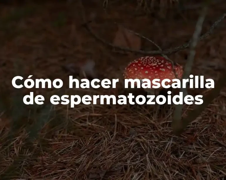 Cómo hacer mascarilla de espermatozoides