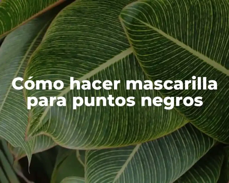 Cómo hacer mascarilla para puntos negros