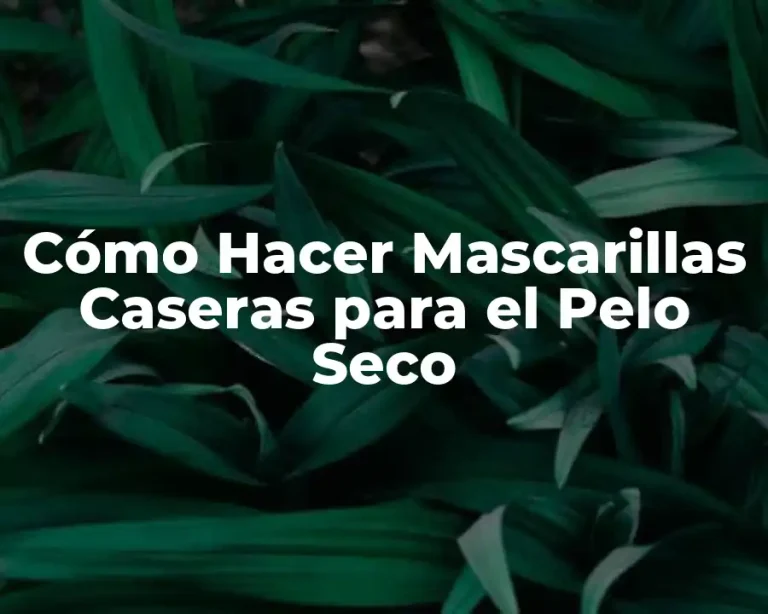 Cómo Hacer Mascarillas Caseras para el Pelo Seco