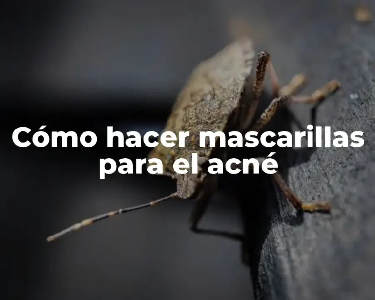 Cómo hacer mascarillas para el acné