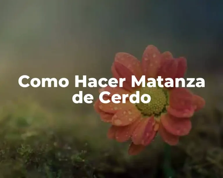Como Hacer Matanza de Cerdo
