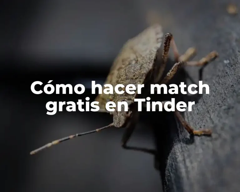 Cómo hacer match gratis en Tinder