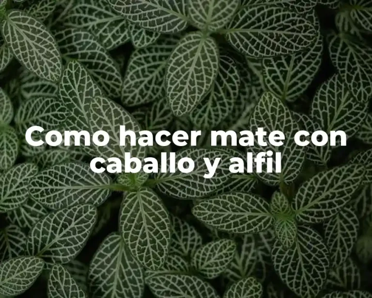 Como hacer mate con caballo y alfil